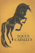 Equus Caballus
